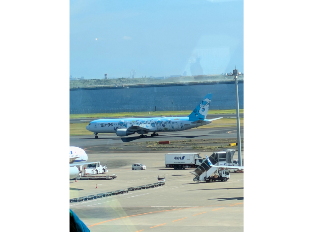 アローラのロコンの飛行機
