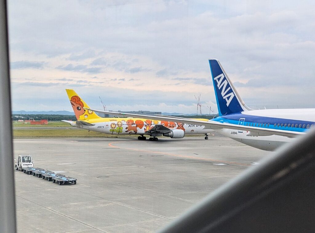 ロコンの飛行機