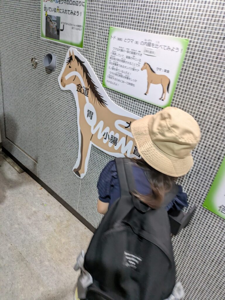 おたる水族館　動物のうんち