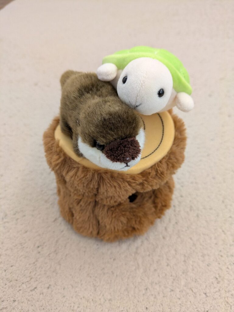 おたる水族館　お土産　カワウソ　カメ