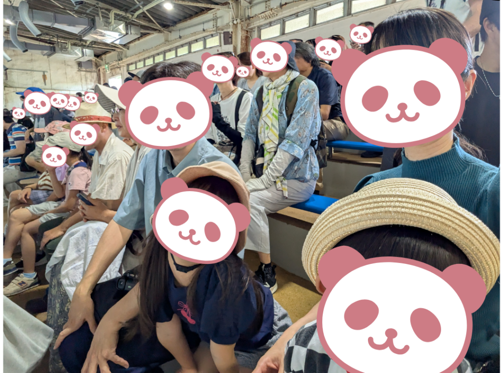 おたる水族館　イルカショー