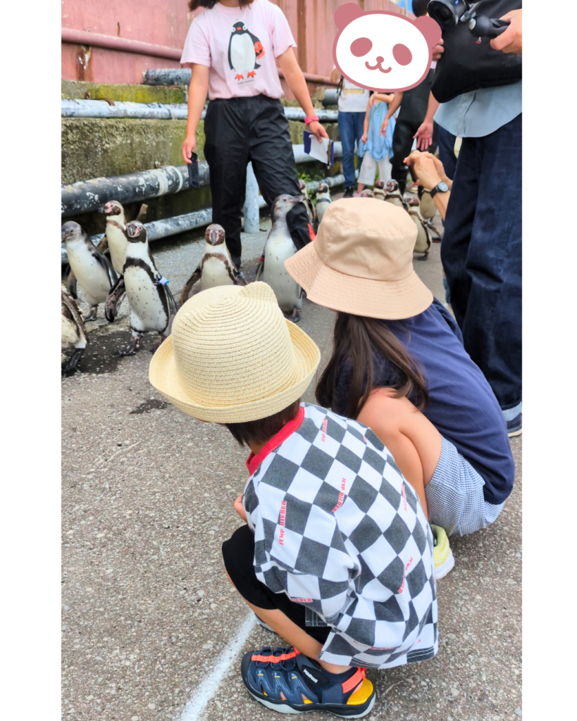 おたる水族館　ペンギン散歩